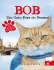 Bob, um Gato Fora do Normal - livros grátis que você precisa ler