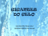 gigantes do gelo - Colégio São Paulo