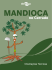 Mandioca no Cerrado - Fundação Banco do Brasil