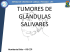 TUMORES DE GLÂNDULAS SALIVARES