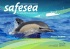 SafeSea - Manual de apoio para a promoção de uma pesca mais