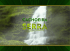 RG - Fazenda Cachoeira 2C