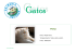 Catalogo 2010 - Gatos