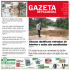 Jornal Digital 1275 - Gazeta de Palmeira