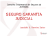 Apresentação: Seguro Garantia Judicial