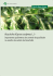 Alcachofra (Cynara scolymus L.)