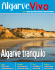 Edição nº43 - Algarve Vivo