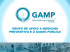 apresentação gamp geral - GAMP | Grupo de Apoio a Medicina