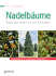 Nadelbäume - Patzer Verlag