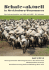 Schafe aktuell in MV, Nr. 2_2014 - Juni/ 4003 kB