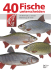 40 Fische