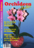 Ausgabe 2-2009 - OrchideenZauber