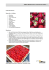 Erdbeer-Blechkuchen für Freunde und Familie! (5/14)