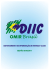 DIIC – OMIR Brasil - Interact Club Distrito 4470