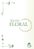 Informativo Terapia Floral