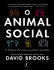 O animal social – David Brooks