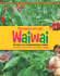 Pimenta em Pó Waiwai - Ideflor-bio