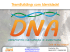 Diapositivo 1 - DNA - Desporto Natureza e Aventura