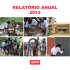 relatório anual 2012