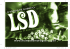 Livreto A Verdade sobre o LSD