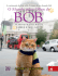 O Mundo Pelos Olhos de Bob - livros grátis que você precisa ler