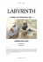 Labyrinth – 2ª Edição