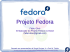 Projeto Fedora - OeSC