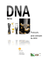 Extração ADN