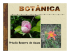 Botânica 1