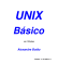 UNIX - Alexandre Botao