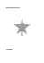 Enfeite estrela prata 14cm. Cód: 39190