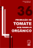 36 produção de tomate sob manejo orgânico - Pesagro-Rio