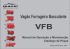 Manual VFB