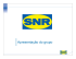 SNR - Rolsul.com.br