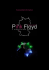 Veranstalterinformation - The PINK FLOYD Project