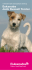 Eukanuba Jack Russell Terrier