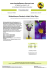 Produktdatenblatt - Seidenblumen Gesteck violett