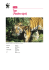Factsheet Tiger (Panthera tigris)