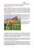 Die vier „Geheimnisse“ der Pferdezucht
