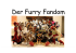 Der Furry Fandom.pptx