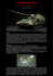 Panzerhaubitze 2000 - imm
