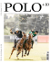 POLO+10 Ausgabe 2/2016