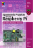 Den Raspberry Pi zum Laufen bringen